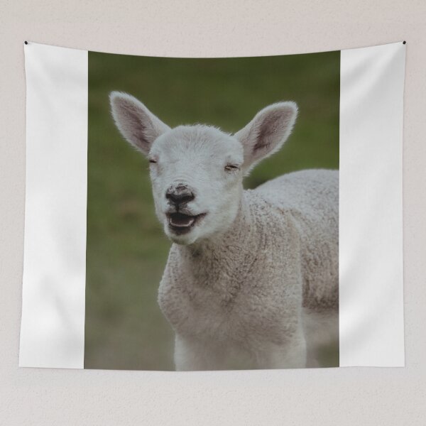 Item preview, Happy Lamb | Unique Beautiful Travelling Home Decor | Phone Cases Stickers Wall Prints | Scottish Travel Photographer  | ZOE DARGUE PHOTOGRAPHY | Glasgow Travel Photographer  designed and sold by Zoe Dargue Photography.