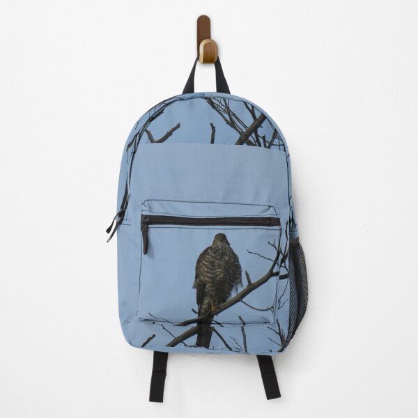 Item preview, Collared sparrowhawk in a tree designed and sold by greentiger1.