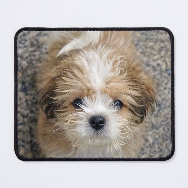 Item preview, WHAT’S UP, DOG? designed and sold by likbatonboot.