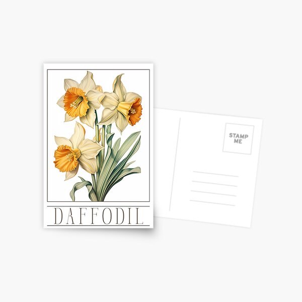 Item preview, "Daffodil" 5/12 set - Floral Themed Postcard / Greeting Card designed and sold by Iamglitchy.