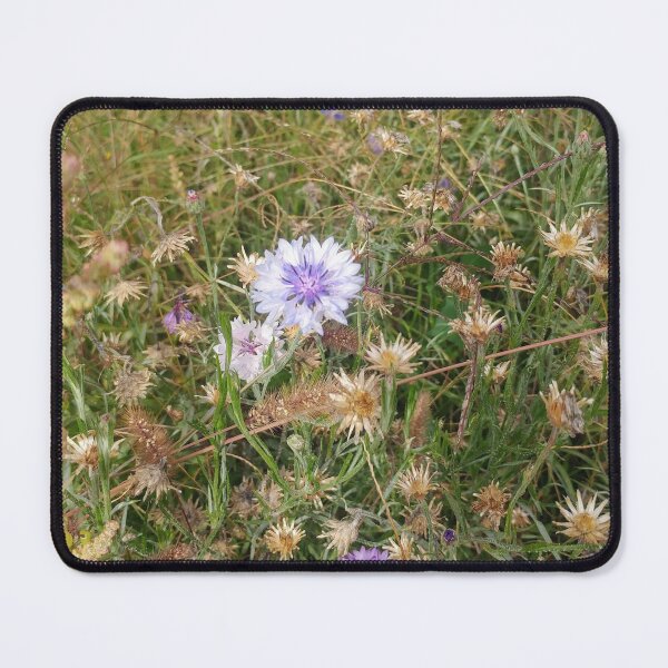 Item preview, Cornflower Field  designed and sold by SweetbriarPhoto.