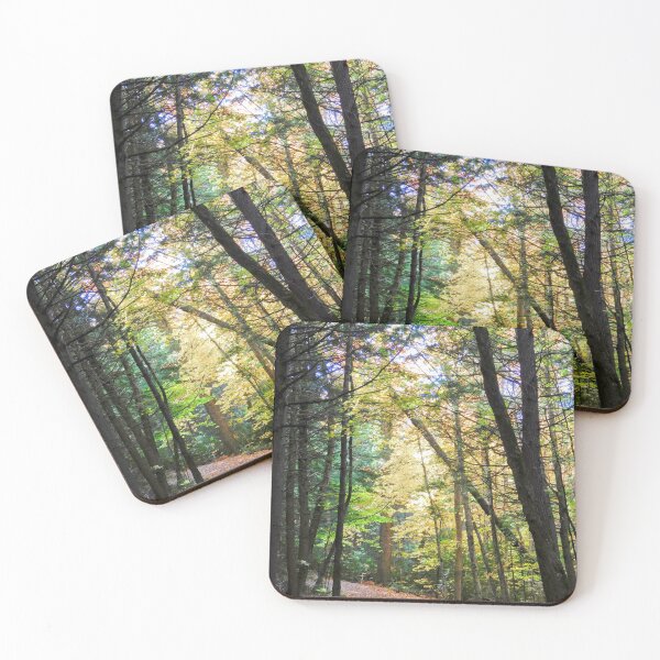 Item preview, Sun-dappled Trail designed and sold by SweetbriarPhoto.