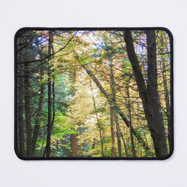 Item preview, Sun-dappled Trail designed and sold by SweetbriarPhoto.
