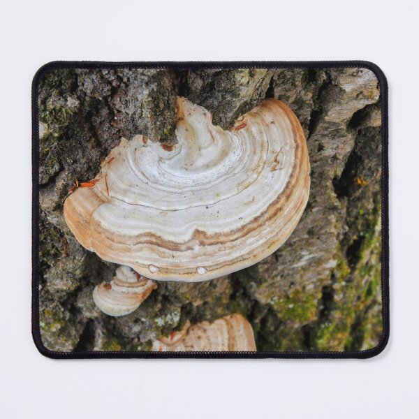 Item preview, Fungus Among Us designed and sold by SweetbriarPhoto.
