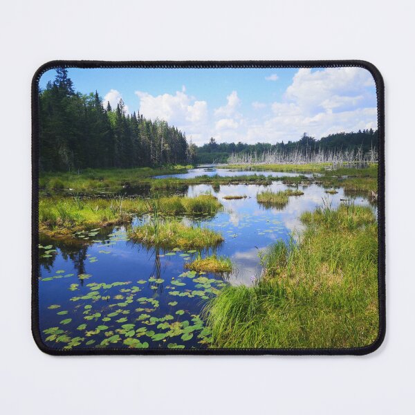 Item preview, Beaver Pond Trail designed and sold by SweetbriarPhoto.