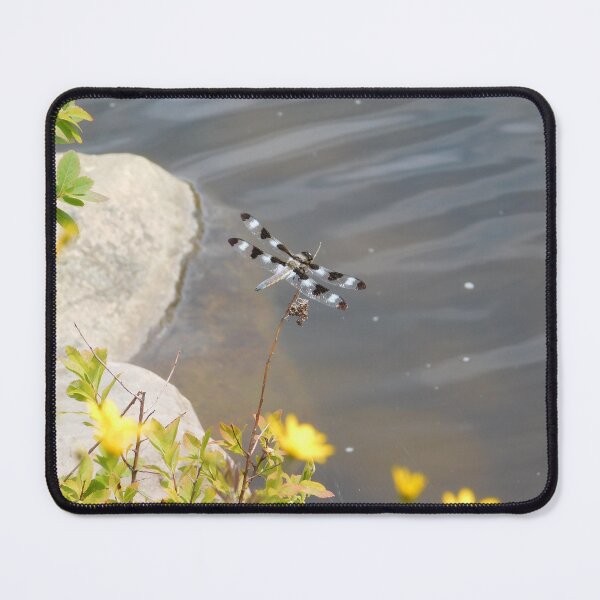 Item preview, The Skimmer Dragonfly designed and sold by SweetbriarPhoto.