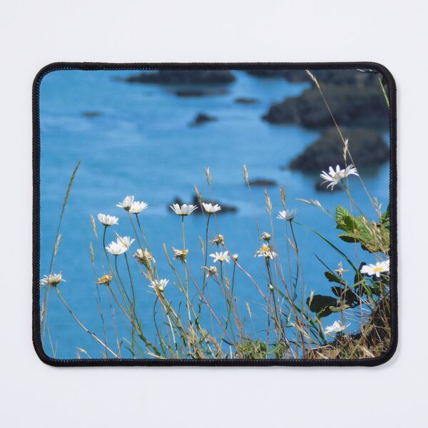 Item preview, Cliffside Daisies  designed and sold by SweetbriarPhoto.