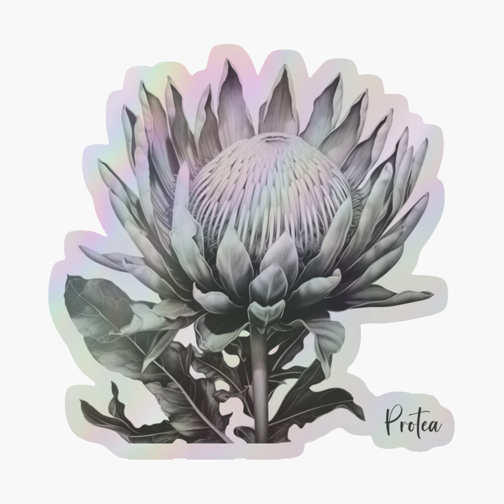 絵画 額縁付 プロテア protea fpp,large,lustre,wall_texture,