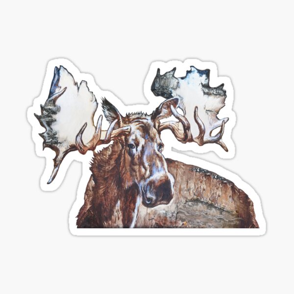 Moose in National Park, Alaska Sticker