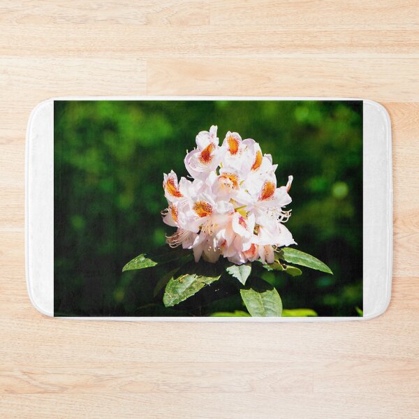 Item preview, More Rhodo beauty designed and sold by jchanders.
