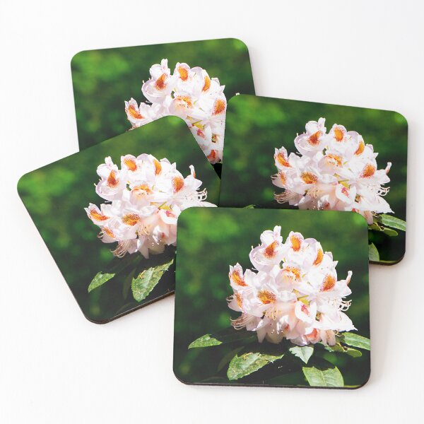 Item preview, More Rhodo beauty designed and sold by jchanders.
