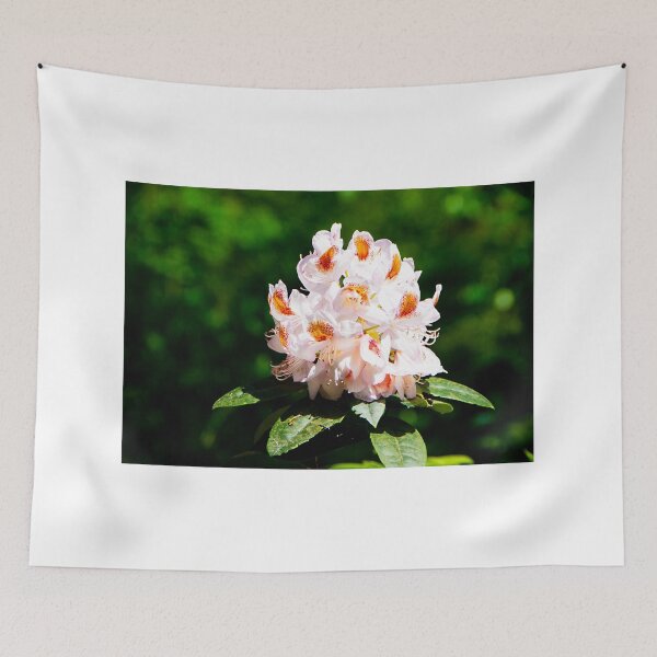 Item preview, More Rhodo beauty designed and sold by jchanders.