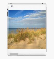 Dunegrass iPad Case/Skin