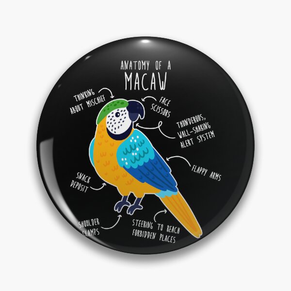 Item preview, Blue and Gold Macaw Parrot Anatomy designed and sold by Clara Hollins.