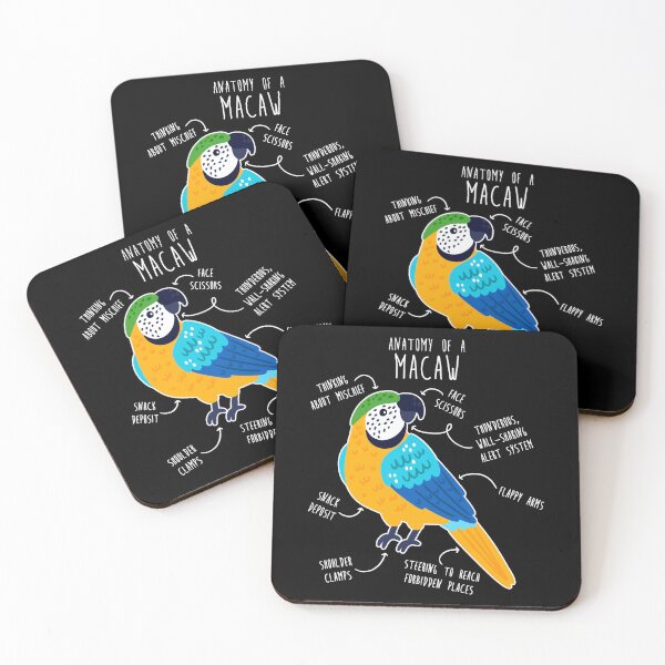 Item preview, Blue and Gold Macaw Parrot Anatomy designed and sold by Clara Hollins.