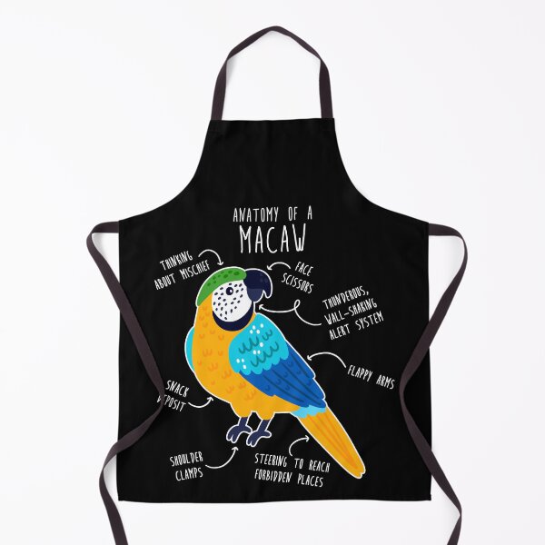 Item preview, Blue and Gold Macaw Parrot Anatomy designed and sold by Clara Hollins.