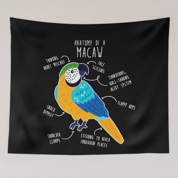 Item preview, Blue and Gold Macaw Parrot Anatomy designed and sold by Clara Hollins.