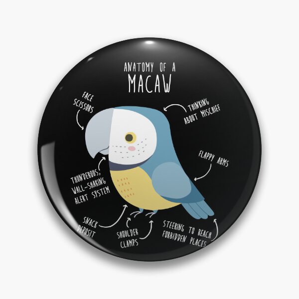 Item preview, Blue and Gold Macaw Parrot Anatomy designed and sold by Clara Hollins.