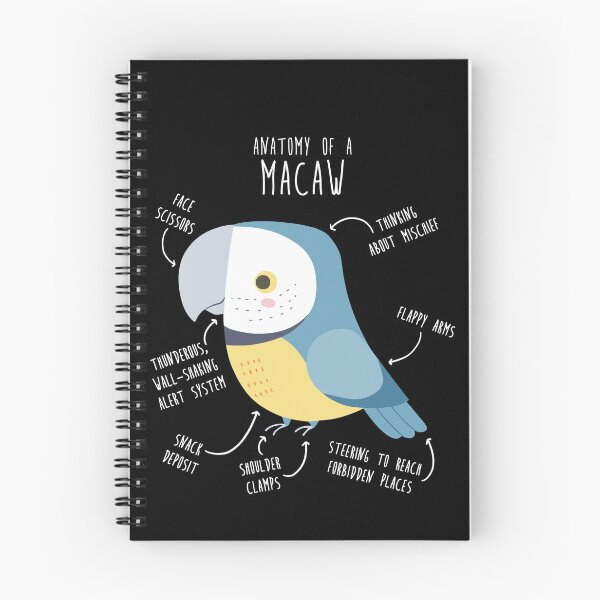 Item preview, Blue and Gold Macaw Parrot Anatomy designed and sold by Clara Hollins.