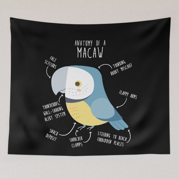 Item preview, Blue and Gold Macaw Parrot Anatomy designed and sold by Clara Hollins.