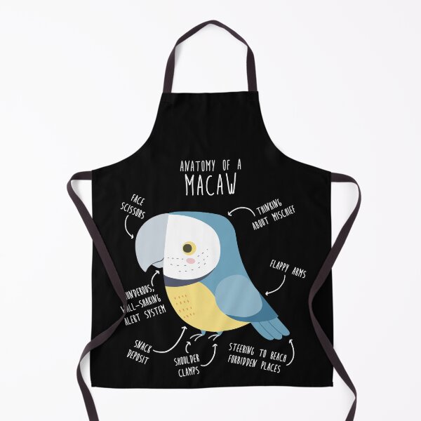 Item preview, Blue and Gold Macaw Parrot Anatomy designed and sold by Clara Hollins.