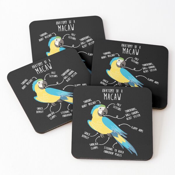 Item preview, Blue and Gold Macaw Parrot Anatomy designed and sold by Clara Hollins.