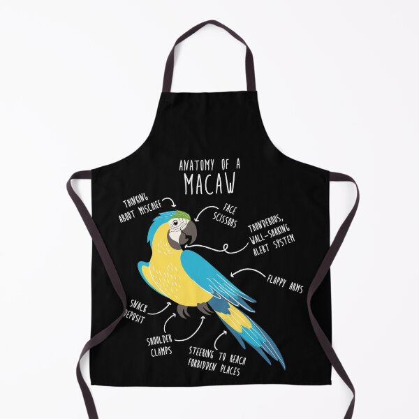 Item preview, Blue and Gold Macaw Parrot Anatomy designed and sold by Clara Hollins.