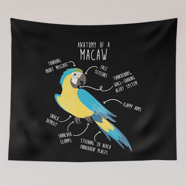 Item preview, Blue and Gold Macaw Parrot Anatomy designed and sold by Clara Hollins.