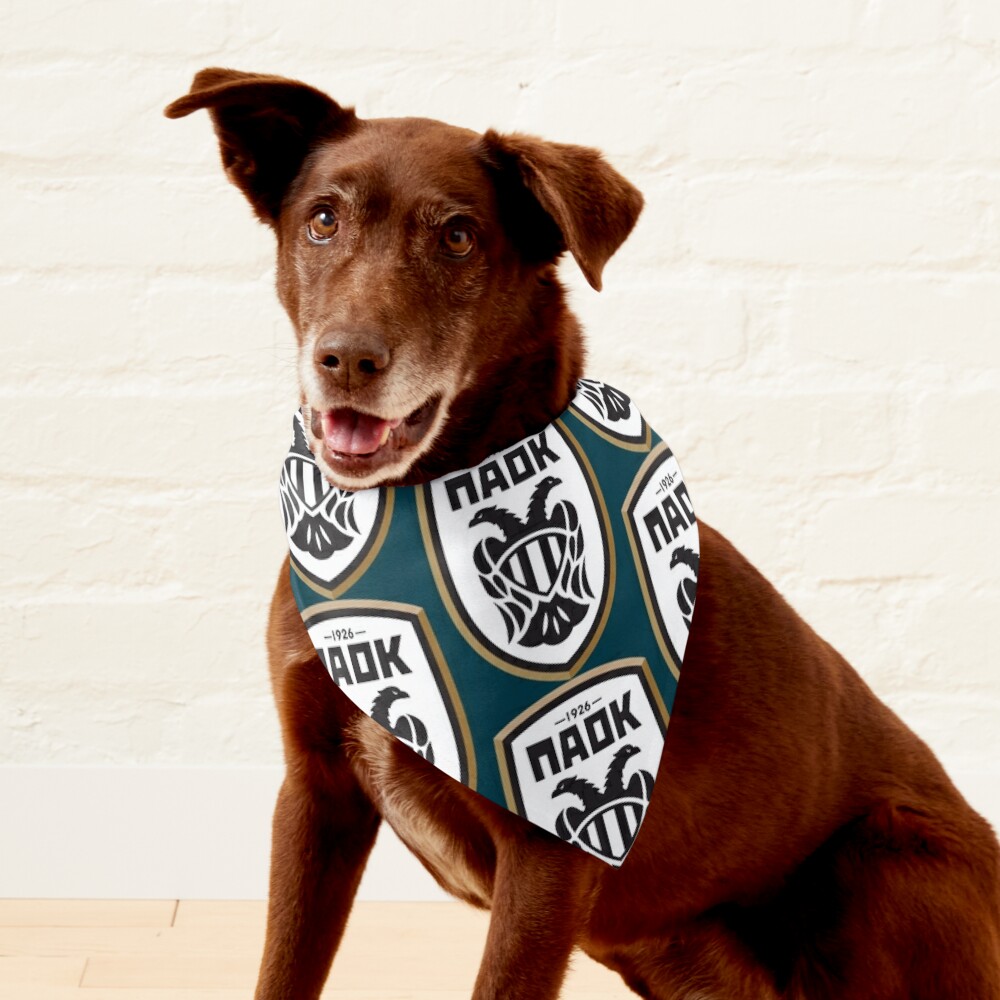 Oakland Raiders Pet Bandana