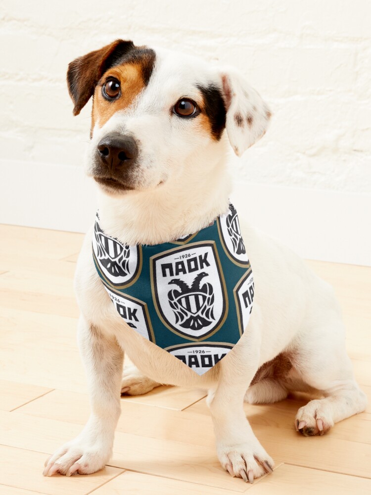 Oakland Raiders Dog Jersey