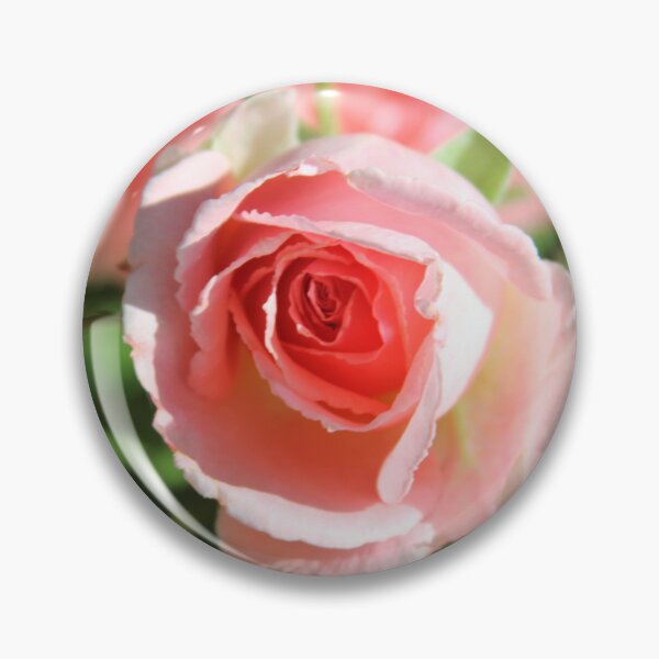 Item preview, A pretty pink rose designed and sold by djsfoto.