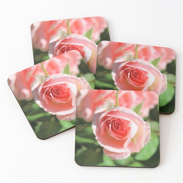 Item preview, A pretty pink rose designed and sold by djsfoto.