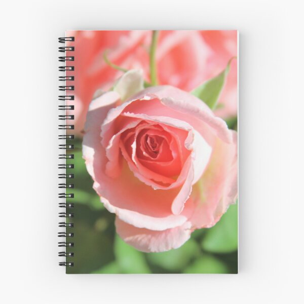 Item preview, A pretty pink rose designed and sold by djsfoto.