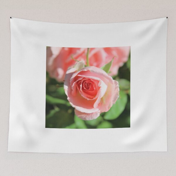 Item preview, A pretty pink rose designed and sold by djsfoto.