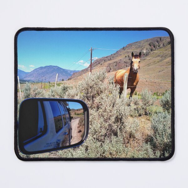 Item preview, Road trip with farm animal and nature scenery in Okanagan valley, BC, Canada. designed and sold by Nalidsa Sukprasert.