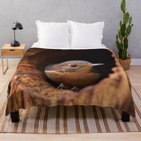 Item preview, A female Eastern Bluebird (Sialia sialis) in a nest. designed and sold by aiphotosart.