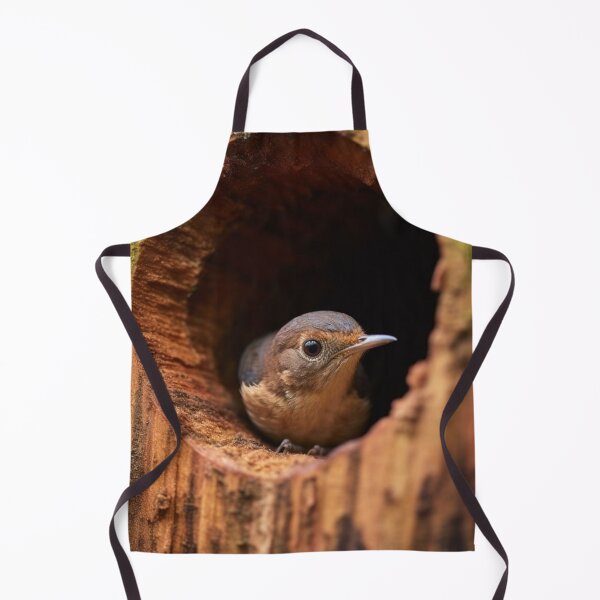 Item preview, A female Eastern Bluebird (Sialia sialis) in a nest. designed and sold by aiphotosart.