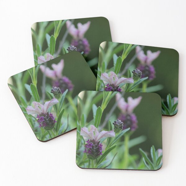 Item preview, Lavandula Stoechas designed and sold by cuprum.