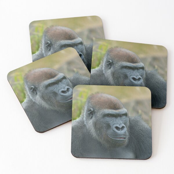 Item preview, The Regal Blackback Gorilla designed and sold by rawshutterbug.