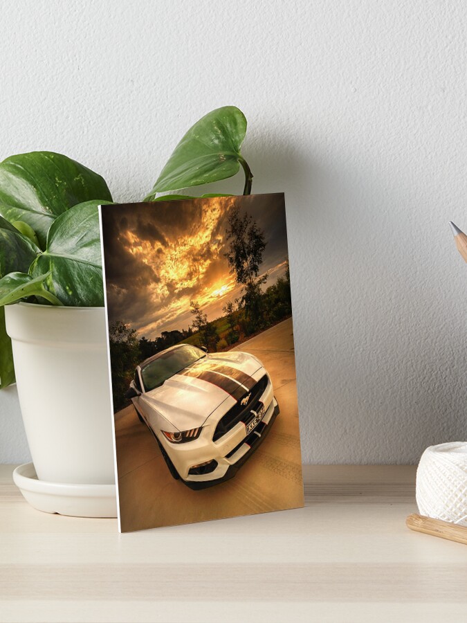 Wall Art Print Mustang Car Auto in Sunset, Gifts & Merchandise