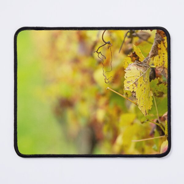 Item preview, Colours of the Vineyard, Red Hill Estate Winery, Mornington Peninsula designed and sold by Liza Clements Photographic.
