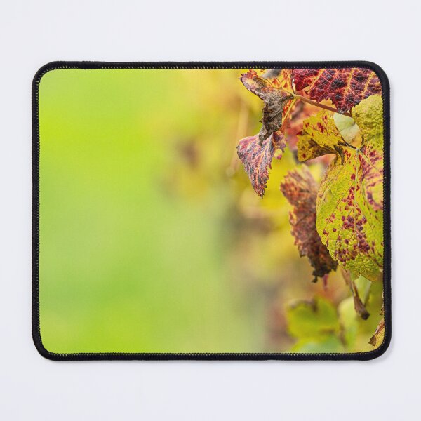 Item preview, Vibrant Colours on the grapevine, Red Hill Estate Winery, Mornington Peninsula designed and sold by Liza Clements Photographic.