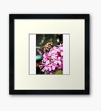 Happy Smiling bumblee bee :) Framed Print