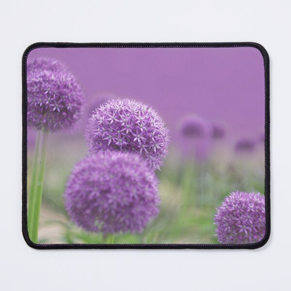 Item preview, Ethereal Alliums designed and sold by Alisonchambers2.