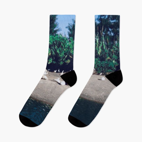 Item preview, Birds photography in the wild life  designed and sold by Donutlovers.