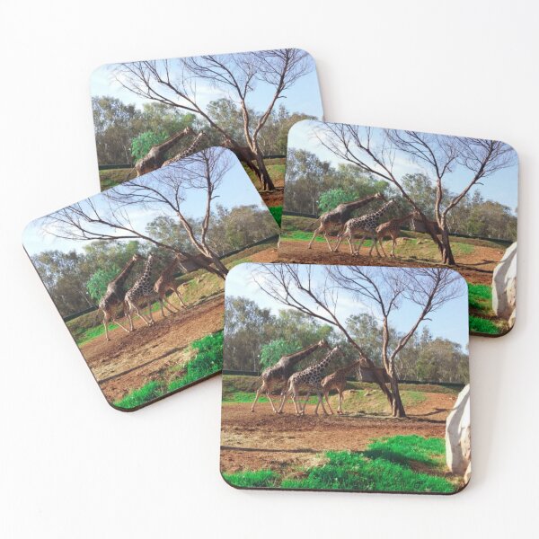 Item preview, Three long neck giraffes in the african savanah  designed and sold by Donutlovers.