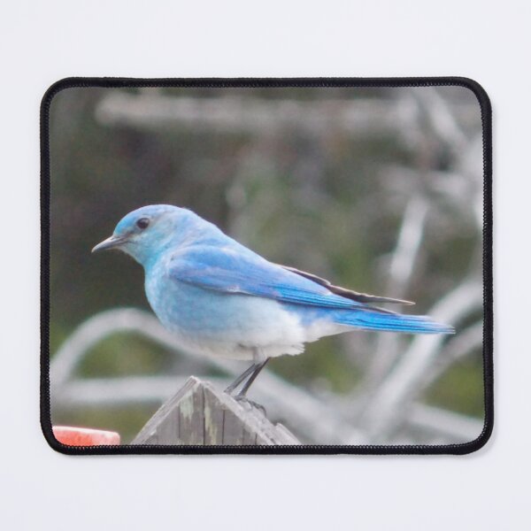 Item preview, Mountain Blue Bird designed and sold by OnigiriSuiko.
