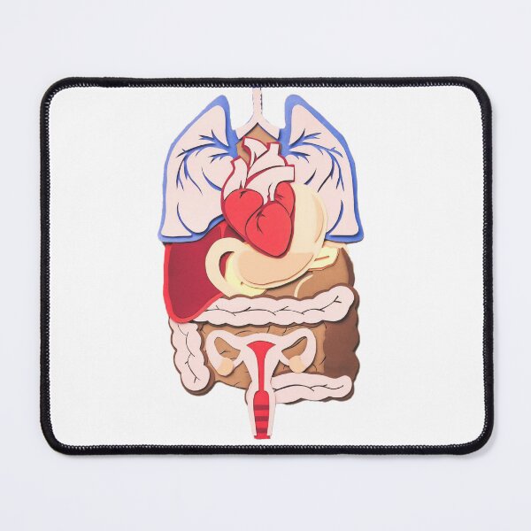 Item preview, female internal organs  poster | female internal organs t-shirt | educational poster  designed and sold by KARTICK DUTTA.