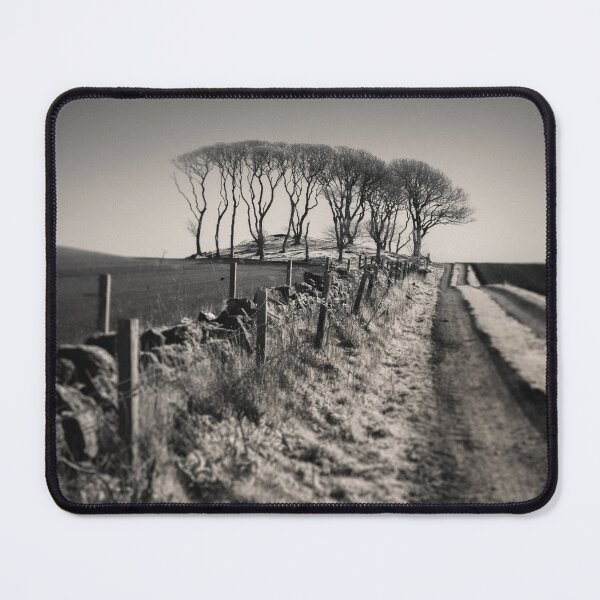 Item preview, Field's End Grove designed and sold by David Bowman.