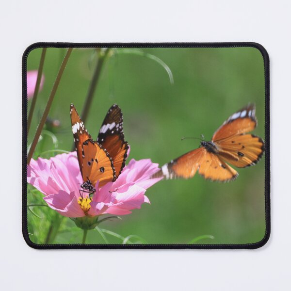 Item preview, Butterflies on a flower designed and sold by Anne Bonfert.